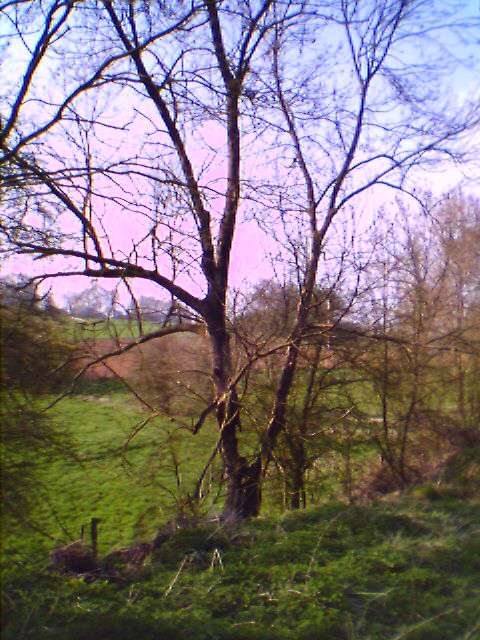 photo_balade_01-04-2005_04