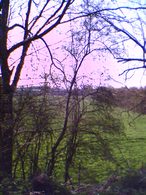 photo_balade_01-04-2005_05