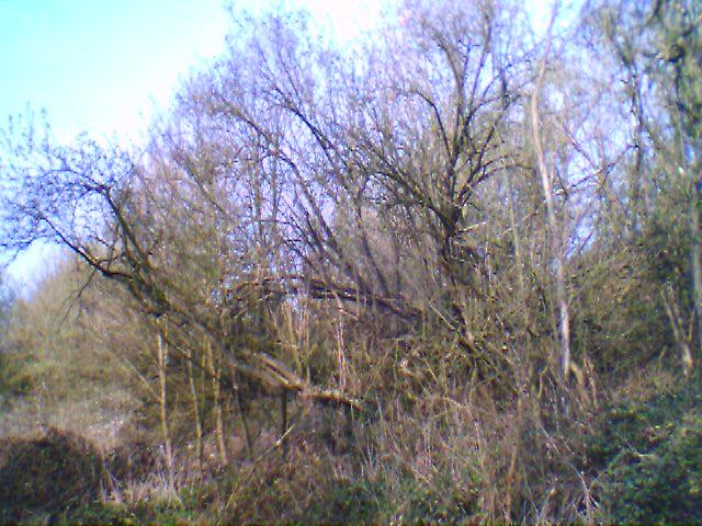 photo_balade_01-04-2005_06
