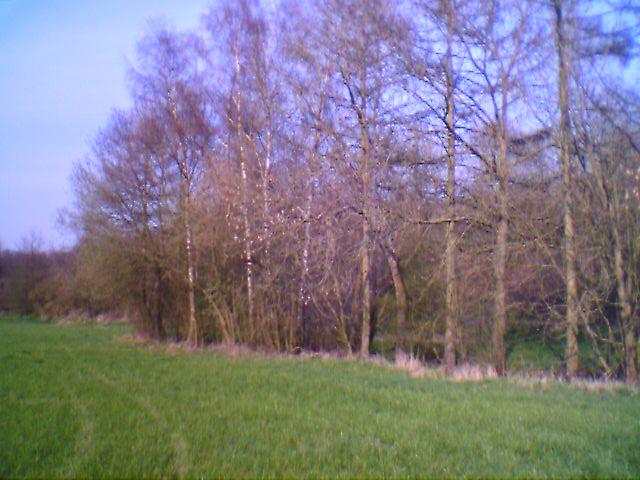 photo_balade_01-04-2005_08