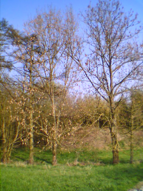 photo_balade_01-04-2005_09