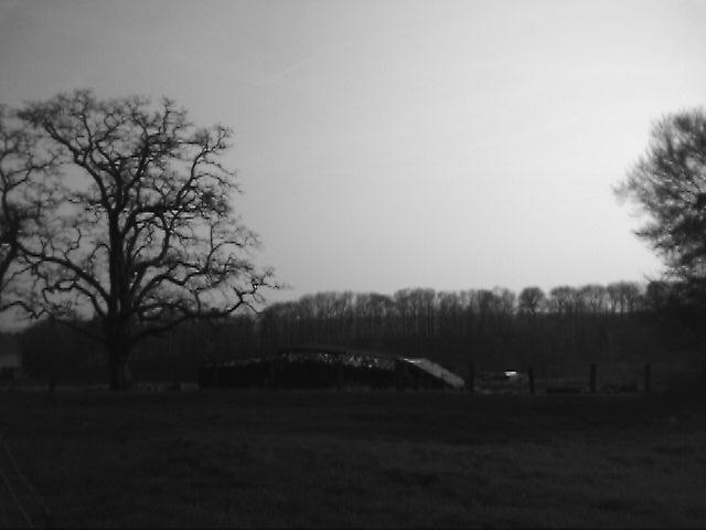 photo_balade_01-04-2005_23