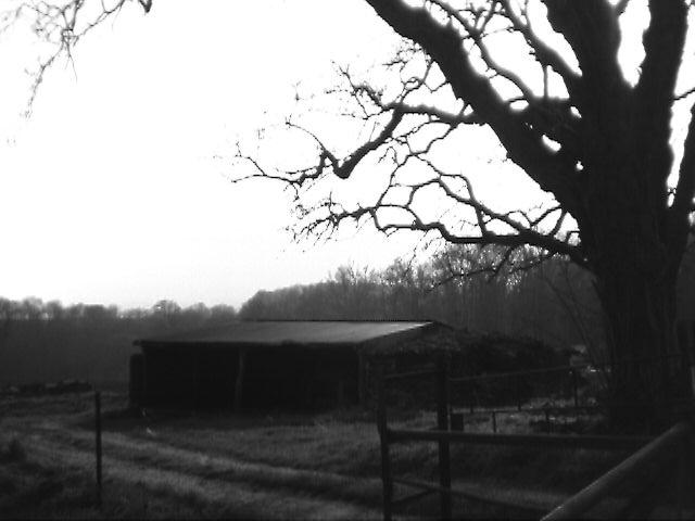 photo_balade_01-04-2005_24