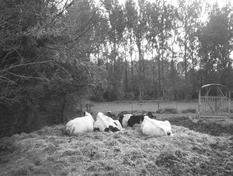 Photos_a_pied_on_decouvre_03-10-2004_59