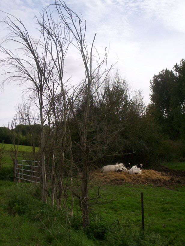Photos_a_pied_on_decouvre_03-10-2004_60