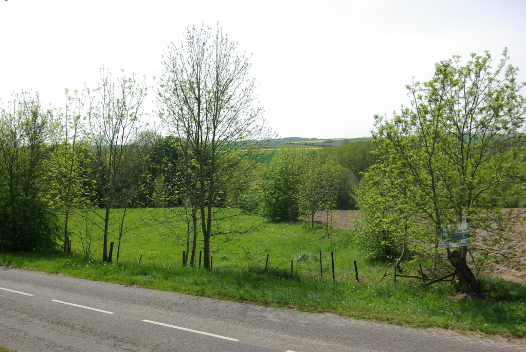 bois_marieux_raincheval_04-05_2008_061