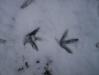 photo_balade_bol_d_air_05-03-2005_012