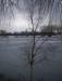 photo_balade_bol_d_air_05-03-2005_016