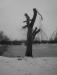 photo_balade_bol_d_air_05-03-2005_029