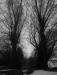 photo_balade_bol_d_air_05-03-2005_037