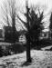 photo_balade_bol_d_air_05-03-2005_040