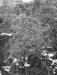 photo_balade_bol_d_air_05-03-2005_041