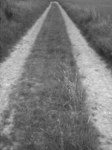 photo_balade_05-06-2005_3
