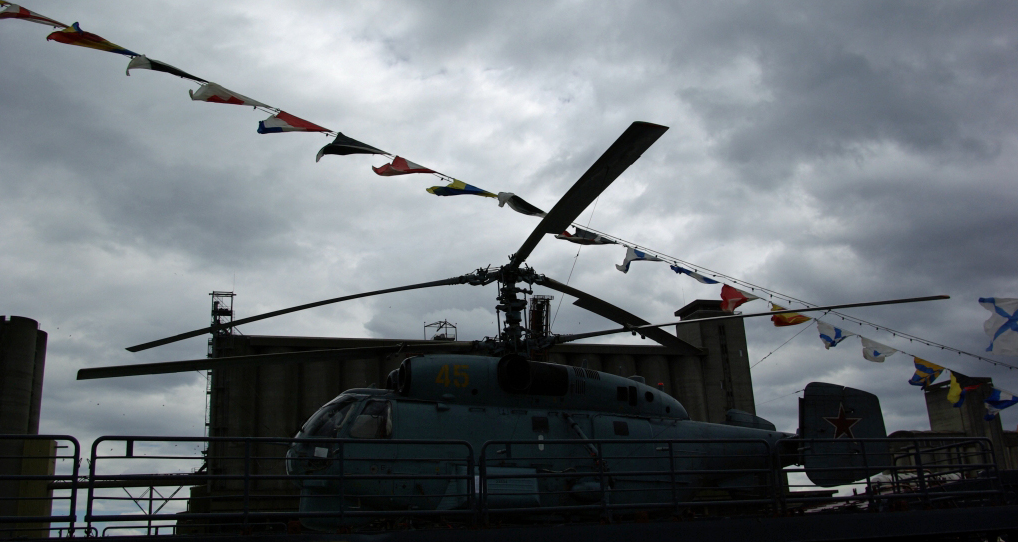 photo_armada_2008_rouen_06-07-2008_163