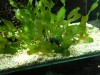 photo_nausicaa_08-10-2006_013
