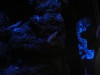 photo_nausicaa_08-10-2006_016