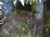 photo_nausicaa_08-10-2006_069