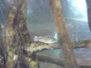 photo_nausicaa_08-10-2006_072