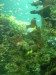 photo_nausicaa_08-10-2006_128
