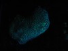 photo_nausicaa_08-10-2006_138