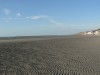 photo_nausicaa_08-10-2006_207
