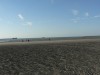 photo_nausicaa_08-10-2006_208