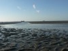 photo_nausicaa_08-10-2006_212