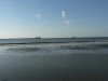 photo_nausicaa_08-10-2006_216