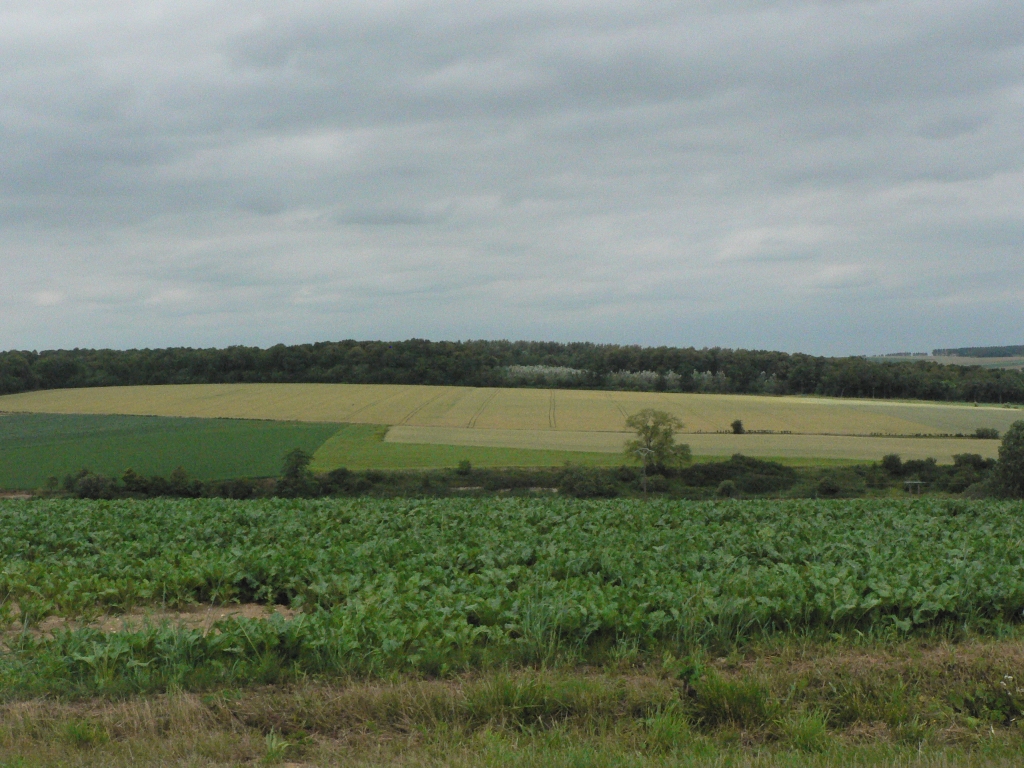 photo_balade_01-07-2006_028