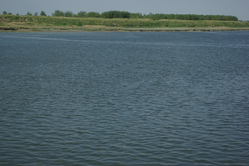 le_crotoy_11-05-2008_19