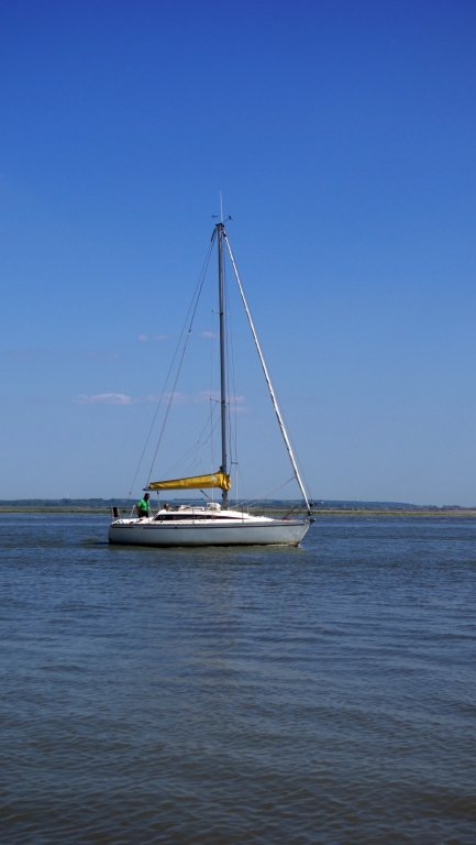 le_crotoy_11-05-2008_36
