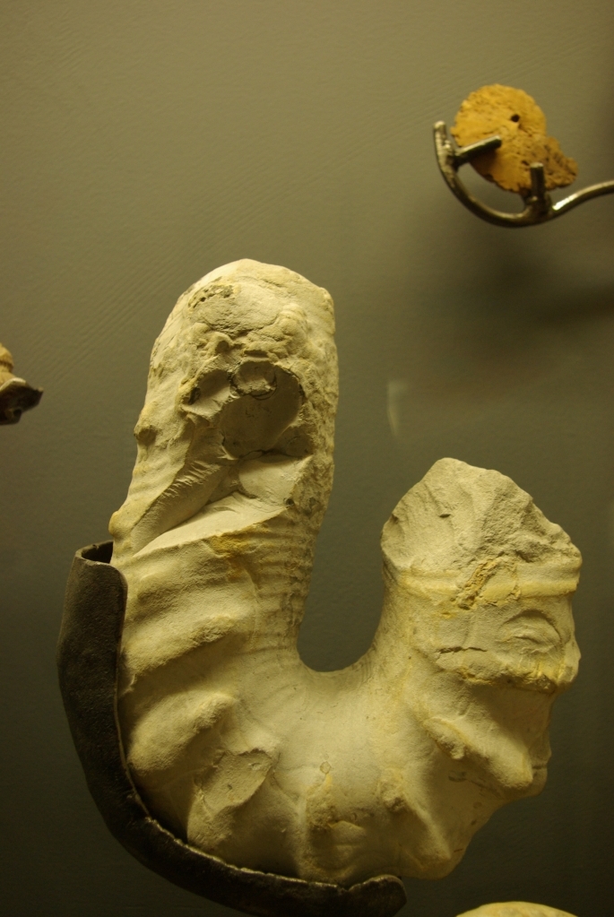musee_requien_avignon_13-08-2008_007