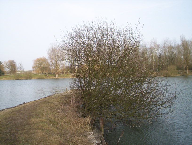 Photo_balade_15_03_2005_36