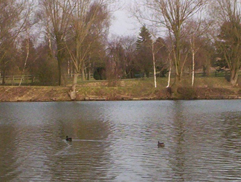 Photo_balade_15_03_2005_41