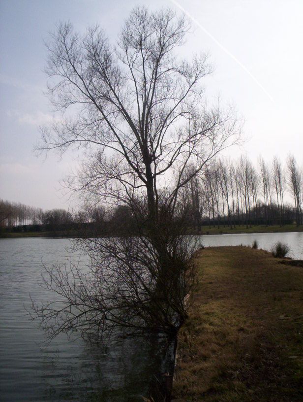 Photo_balade_15_03_2005_52