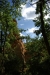 colorado_de_rustrel_15-08-2008_039