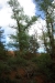 colorado_de_rustrel_15-08-2008_105
