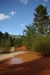 colorado_de_rustrel_15-08-2008_123