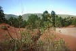 colorado_de_rustrel_15-08-2008_125