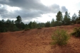 colorado_de_rustrel_15-08-2008_131