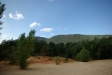 colorado_de_rustrel_15-08-2008_142