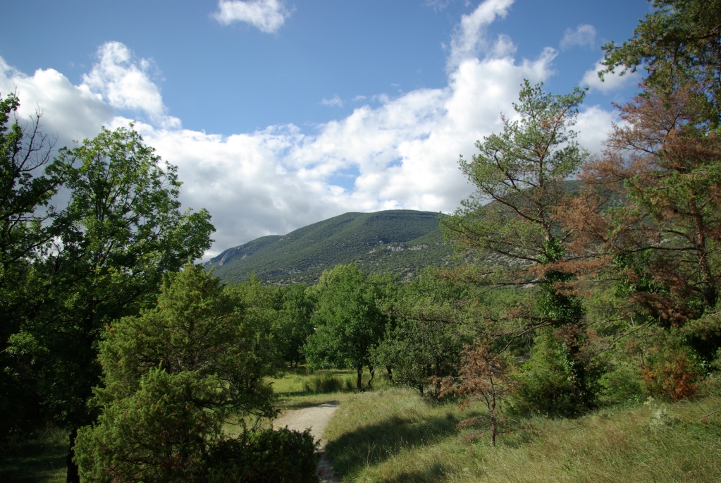 colorado_de_rustrel_15-08-2008_044