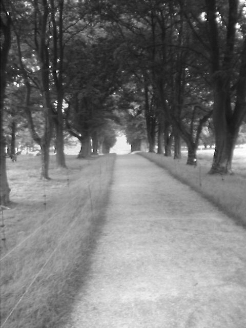 photo_balade_16-06-2005_LOOX_071