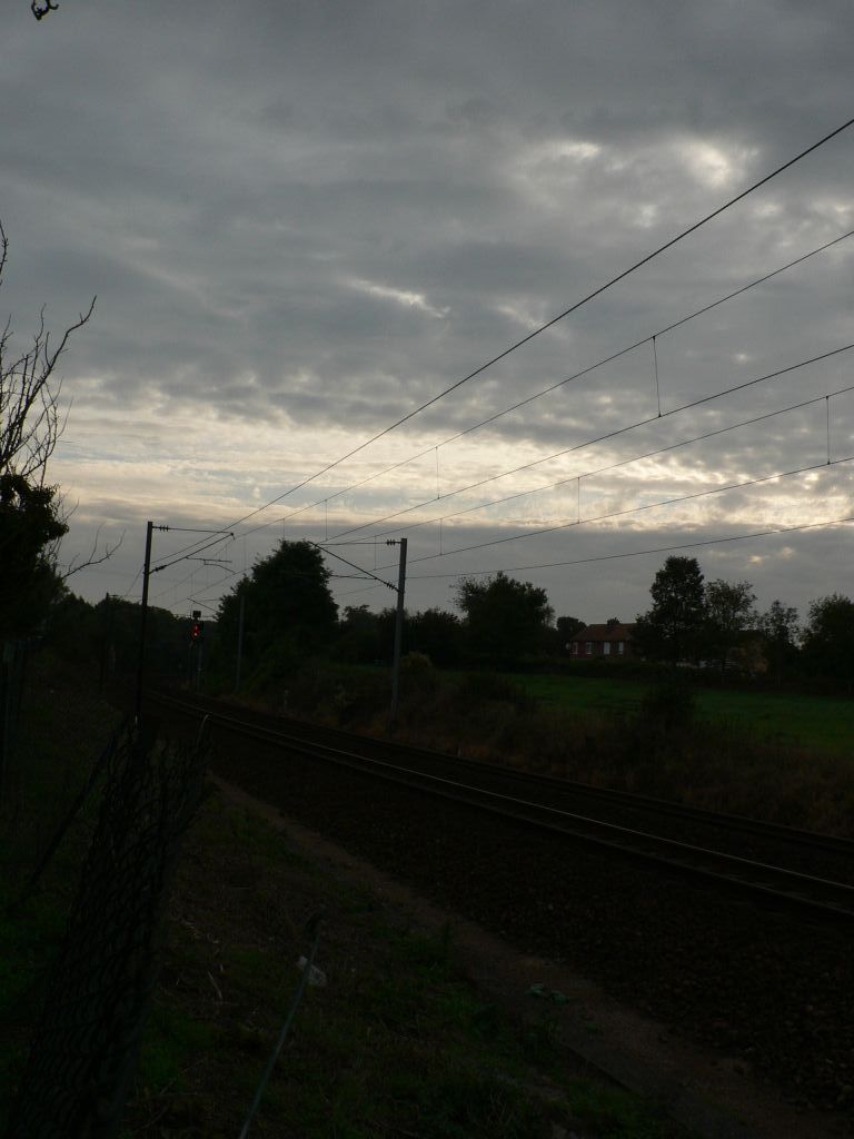 P1030502
