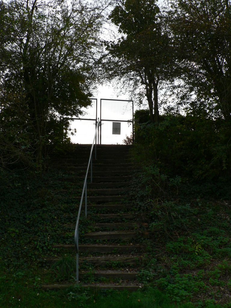 P1030527