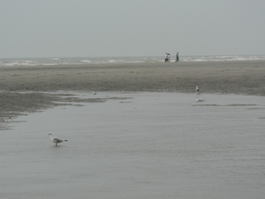 photo_fort_mahon_plage_17-09-2006_102