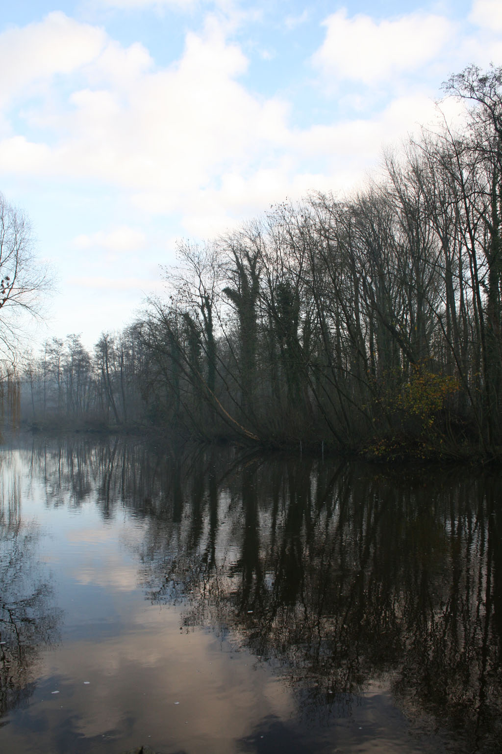 photo_balade_bray_sur_somme_17-12-2006_003