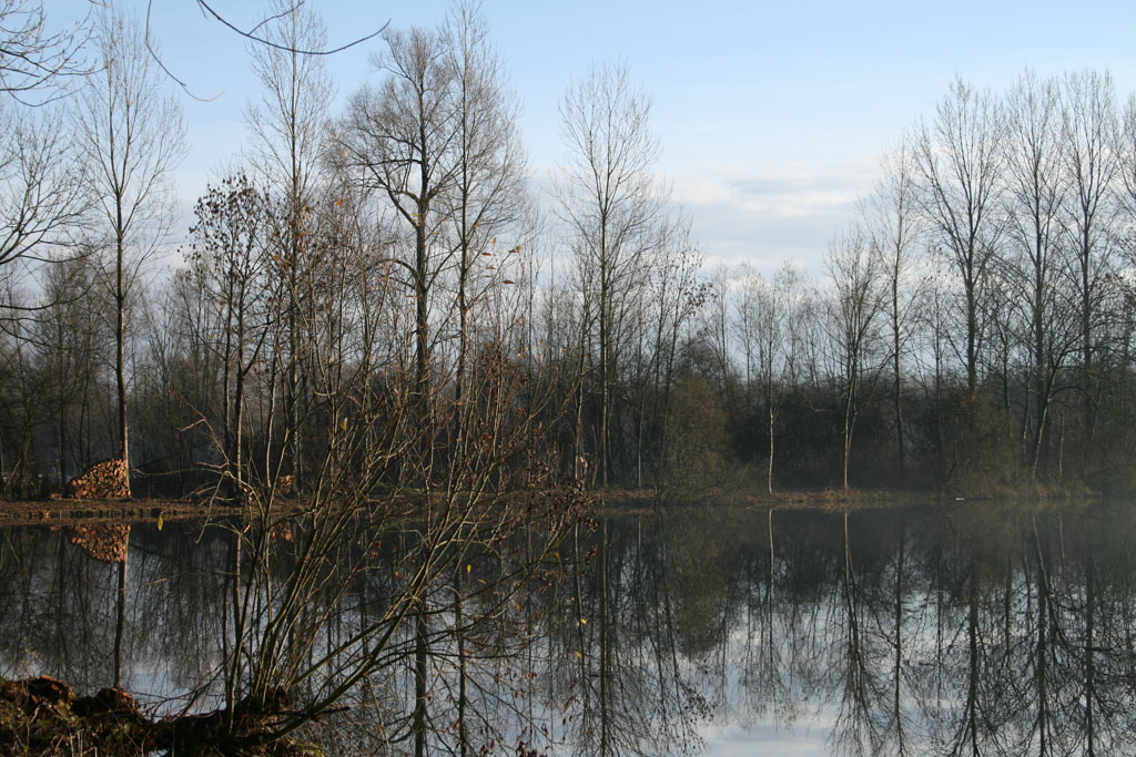 photo_balade_bray_sur_somme_17-12-2006_038