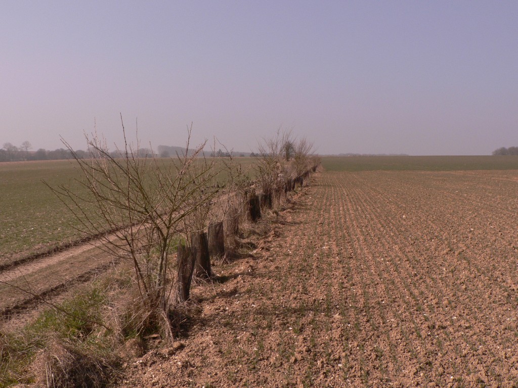 photo_balade_19-03-2006_010