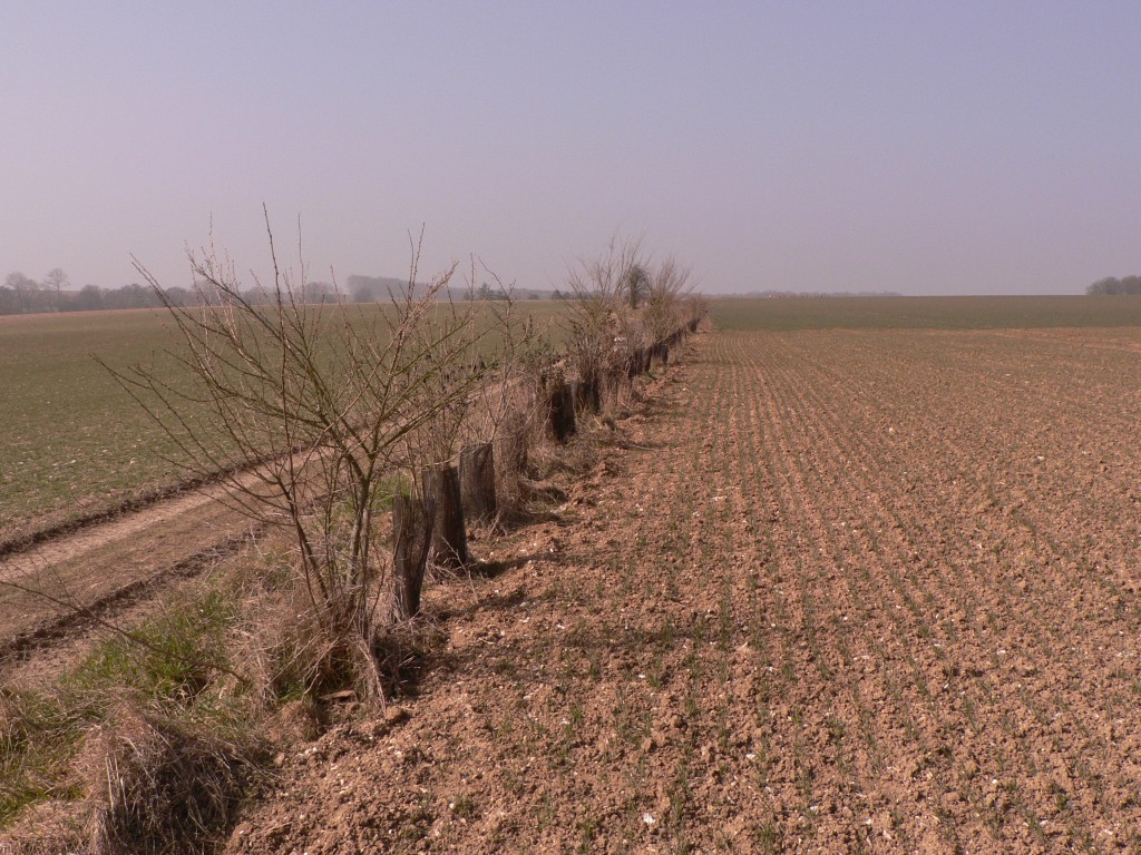 photo_balade_19-03-2006_011